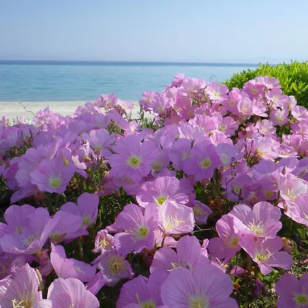 公寓式酒店 Nemo 波利克罗诺