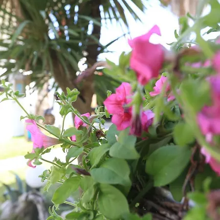 公寓式酒店 Nemo 波利克罗诺