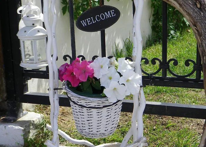 Nemo Πολύχρονο