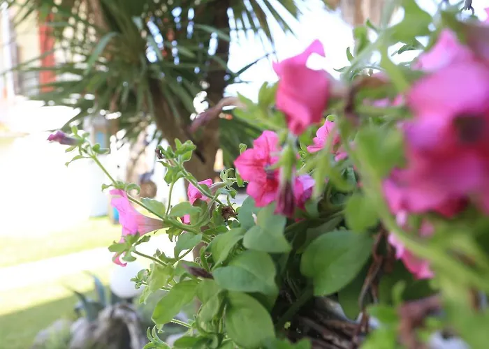 Aparthotel Nemo Polychrono